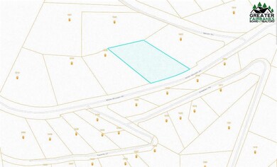 Lot 57 Moose Mountain Rd, Goldstream, AK 99709 - photo 2