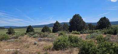 Land Pic