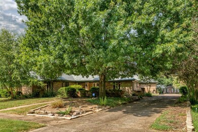 Large beautiful trees for keeping house cool in summer.
