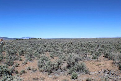 Tract 9 Cerro Area, Questa, NM 87556 - photo 3