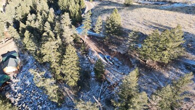 0 Tbd N Shoreline Dr unit LotWP001, Salmon, ID 83467 - photo 4