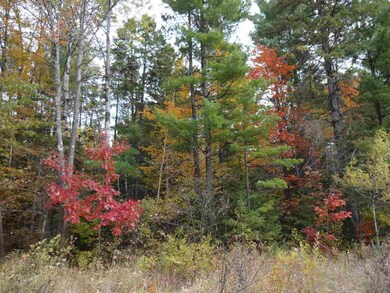 On State Highway 86, Tomahawk, WI 54487 - photo 3