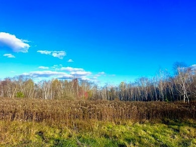 3181 County Rd Q, Forest Township, WI 54005 - photo 6