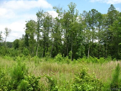 0000 Cool Water Rd, Caroline, VA 22546 - photo 4