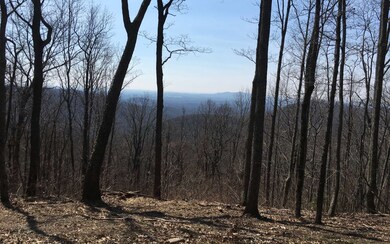 Additional View