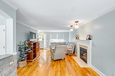 Beautiful crown molding detail