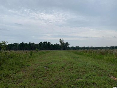 65 acres Sims Reach Rd unit Williamsburg County, Kingstree, SC 29556 - photo 3