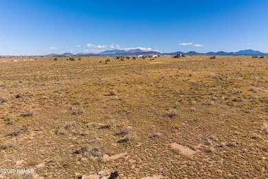 96 W Concho Rd, Valle, AZ 86046 - photo 5