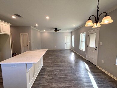 196 Twisted Oaks Dr, Rusk, TX 75785 - photo 4