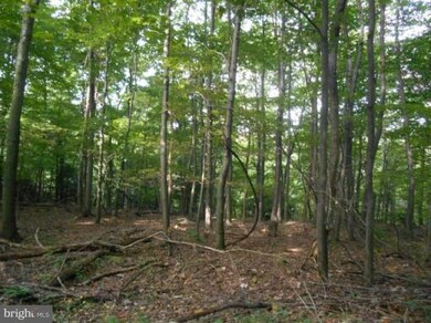 0 Kuhn Mine Rd unit WVGT102380, Mount Storm, WV 26739 - photo 6
