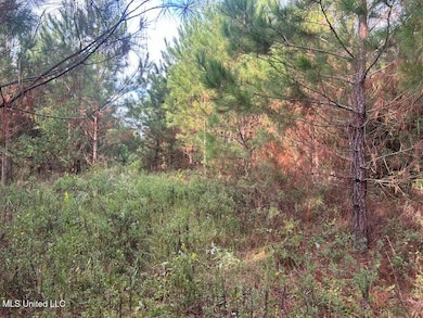 TBD River Rd N, Summit, MS 39666 - photo 5