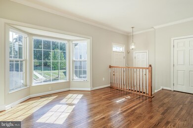 46562 River Meadows Terrace, Sterling, VA 20165 - photo 6