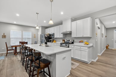 7441 Great Northern Trail, Union, IL 60180 - photo 4