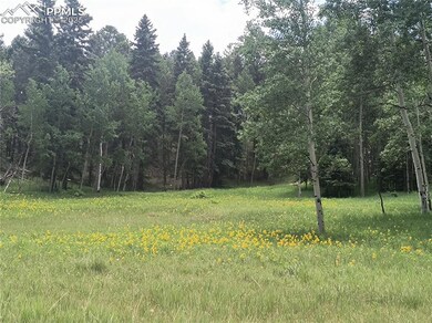 View of local wilderness