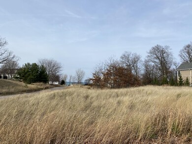 0 Main Dr unit Lot 13, Grand Beach, MI 49117 - photo 5