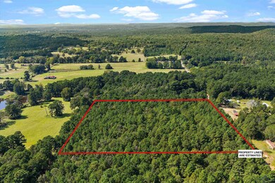 6.4 acres, TBD Narcissus Rd, Ore City, TX 75683 - photo 4