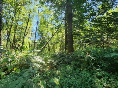 24908 144th Ave E, Graham, WA 98338 - photo 6