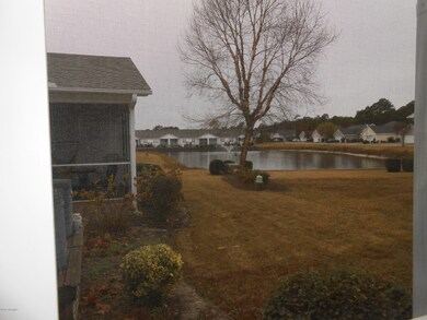 Pond Views