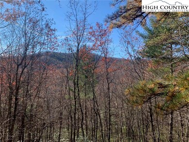 View from back deck.