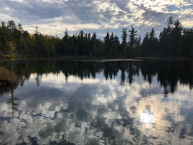 Tote Road Lake