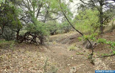 XX Shadow Mountain Rd, Silver City, NM 88061 - photo 4