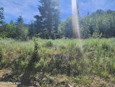 NKA Stahl St, Kellogg, ID 83837 - photo 3