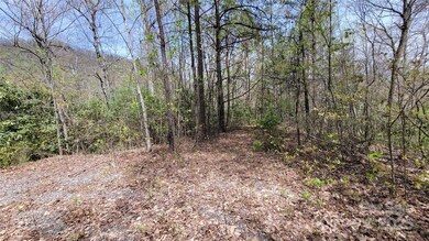 Cleared area at the end of the cul-de-sac.