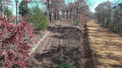 TBD Madison 3605 Rd, Kingston, AR 72742 - photo 3