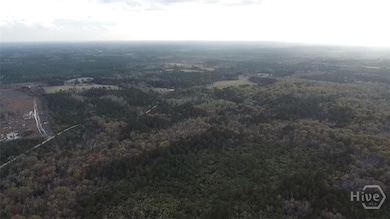 6703 Buchan Rd, Pembroke, GA 31321 - photo 7