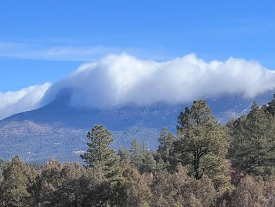 33020 Meadow Ct, Trinidad, CO 81082 - photo 5