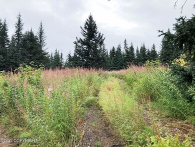 W2 Alaskan Wildwood Ranch(r), Nikolaevsk, AK 99556 - photo 5