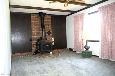 3838 Austin Rd, Geneva, OH 44041 - photo 4