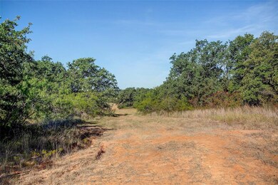 TBD Texas 199 unit 6, Poolville, TX 76487 - photo 2