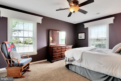 2911 Oranda Rd, Strasburg, VA 22657 - photo 5