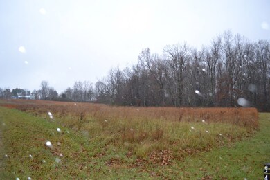 0 Clear Creek Ln unit 201783, Clarkrange, TN 38553 - photo 6