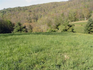 0 Tbd Beechwood Rd unit 25, Clyde, NC 28721 - photo 4