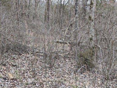 IMG_20200217_123706