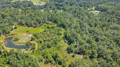 0 NE 354th Ave, Old Town, FL 32680 - photo 7