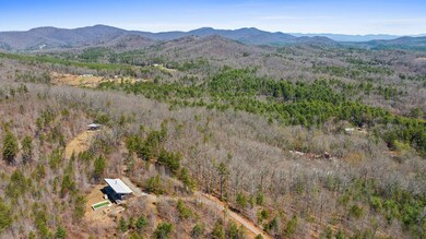 40A Synacia Dr, Mineral Bluff, GA 30559 - photo 7