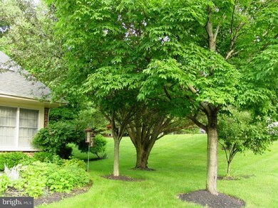 2 Mulberry Ct, Downingtown, PA 19335 - photo 4