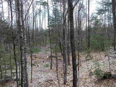 0 Robbins Hill Rd, Chatham, NH 03813 - photo 4