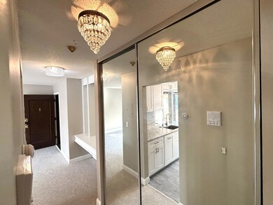 4379 Wilshire Blvd unit 309, Mound, MN 55364 - photo 6