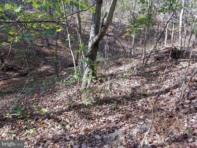 1 Apple Tree Ln, Moorefield, WV 26836 - photo 4