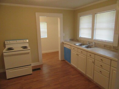 Kitchen View 2