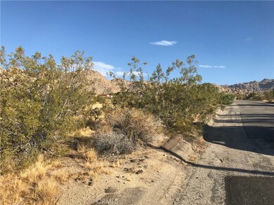 7137 Mount Lassen Ave, Joshua Tree, CA 92252 - photo 5