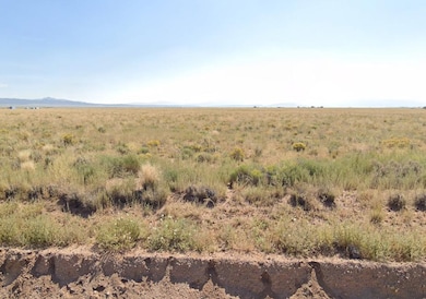 0 Denver Rd unit 25572940, Blanca, CO 81123 - photo 5