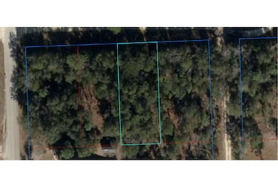 0 NE 67th St unit 129216, Bronson, FL 32621 - photo 3