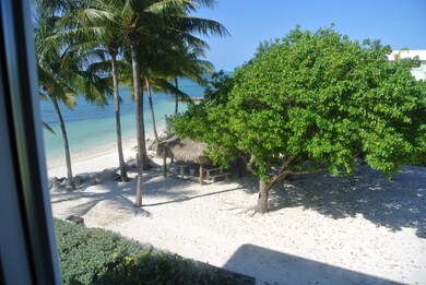 VIEW FROM KITCHEN WINDOW