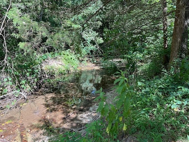 001 Mc 5019 unit Springlake Rd, Pyatt, AR 72672 - photo 3