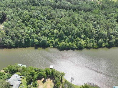 Lot 19 Crystal Cove unit 19, Wedowee, AL 36278 - photo 4